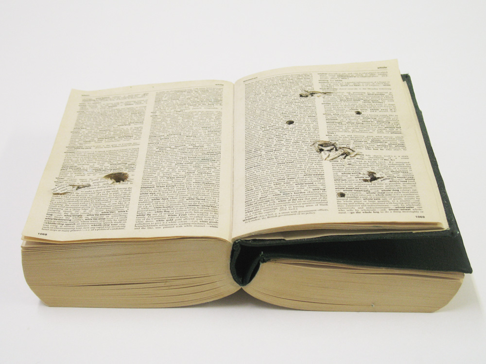 Marianne Holm Hansen: Modified Book, 2014 ©