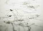 Marianne Holm Hansen: Untitled (the direction of travel), 2005-2008 ©